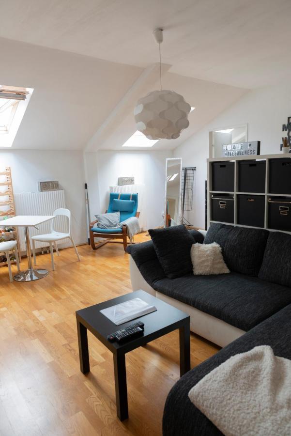 Leo'S Roof Top Apartment Near Town Hall 비엔나 외부 사진